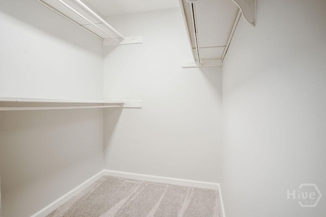 12902 Canterbury Rd, Savannah, GA 31419 - walk in closet with carpet floors