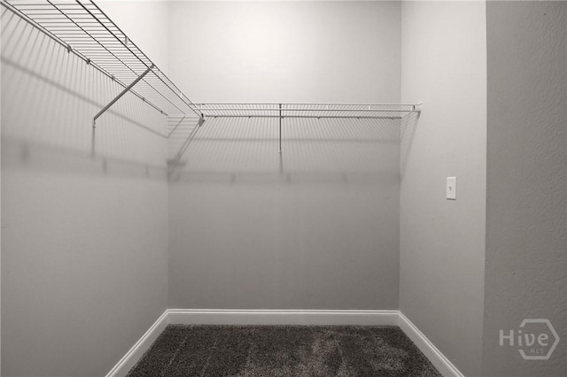 302 Morgan Pines Dr, Pooler, GA 31322 - spacious closet with dark colored carpet