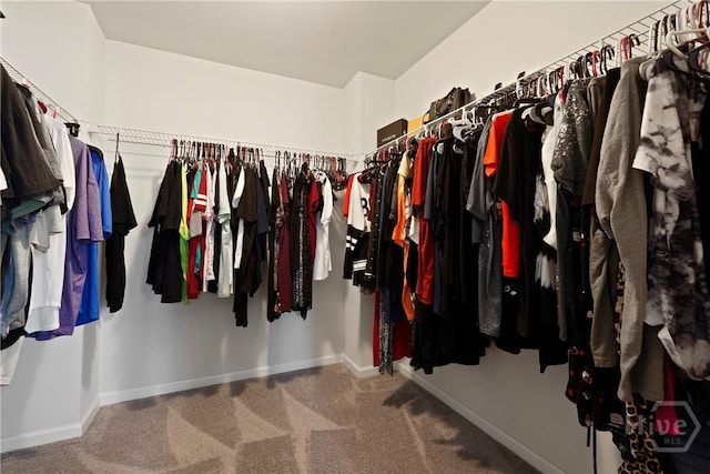 13 Summer Place Dr, Guyton, GA 31312 - walk in closet featuring carpet flooring