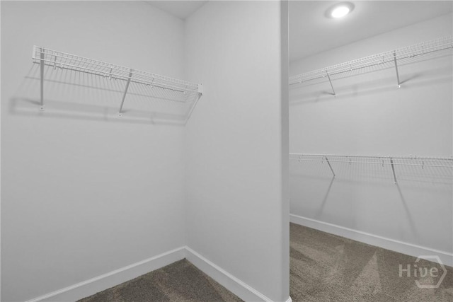 46 Harvest Moon Dr, Savannah, GA 31419 - photo 34