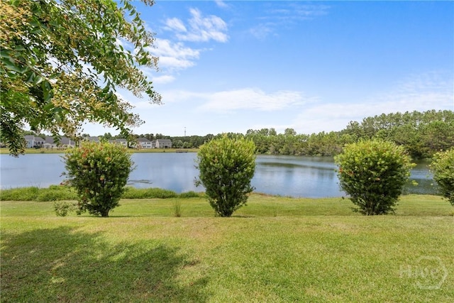160 Lake Lily Dr, Richmond Hill, GA 31324 - water view