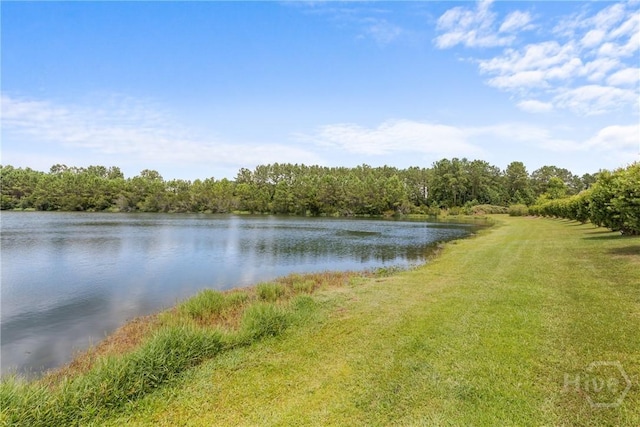 160 Lake Lily Dr, Richmond Hill, GA 31324 - water view with a forest