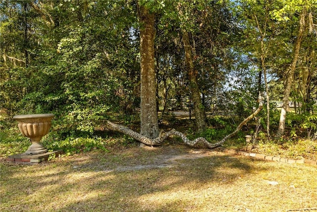 438 Kessler Loop, Guyton, GA 31312 - view of yard