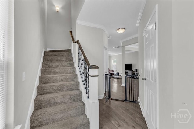 1237 Cypress Fall Cir, Hinesville, GA 31313 - stairway with ornamental molding and wood finished floors