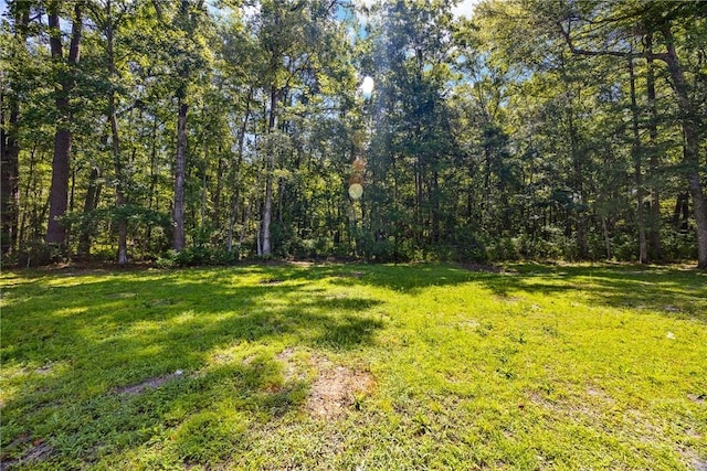 166 Old Sunbury Trl, Midway, GA 31320 - view of grassy yard with a wooded view
