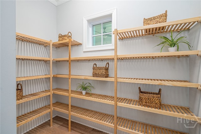 122 Kent, Pooler, GA 31322 - view of pantry