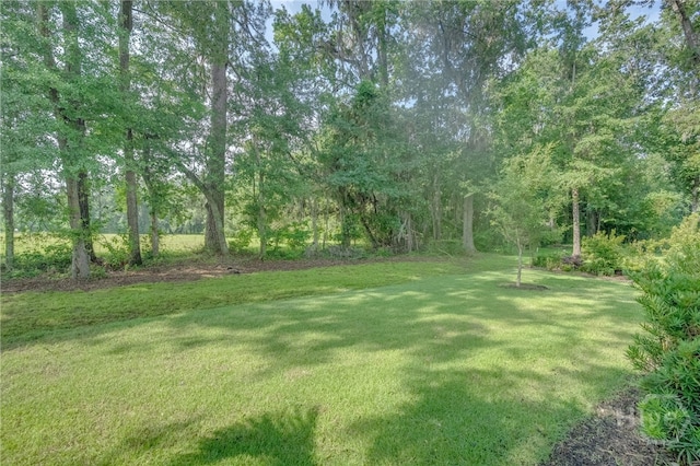 122 Kent, Pooler, GA 31322 - view of grassy yard