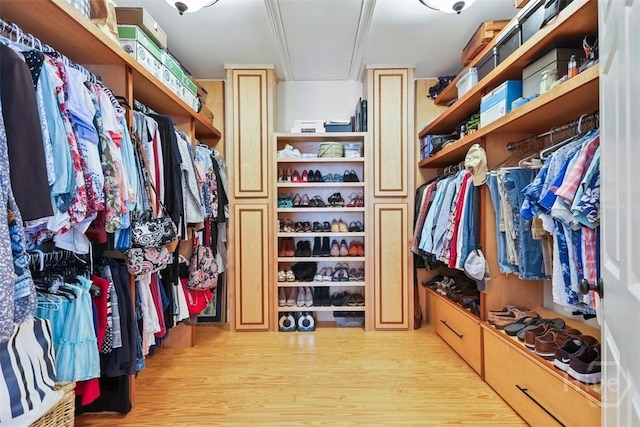 606 Rivers End Dr, Savannah, GA 31406 - walk in closet featuring attic access and light wood-style flooring