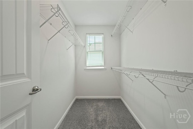 43 Pomona, Savannah, GA 31419 - photo 28