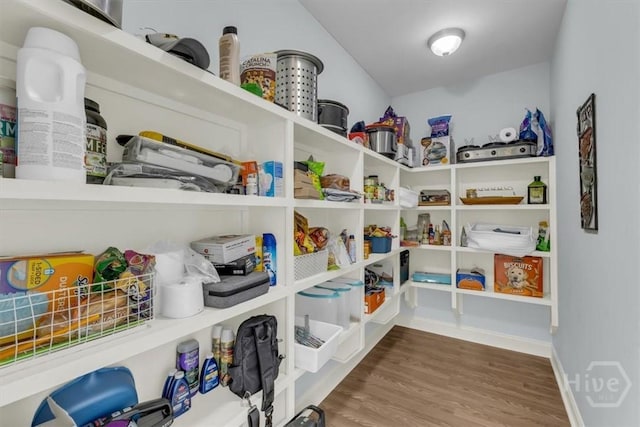 291 Kerry Dr, Richmond Hill, GA 31324 - view of pantry