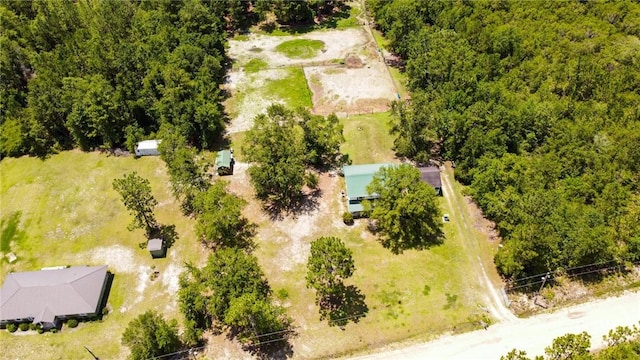 675 Foxwood Cir, Jesup, GA 31545 - bird's eye view