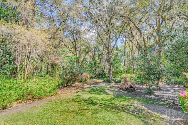 8720 Ferguson Ave, Savannah, GA 31406 - view of green lawn