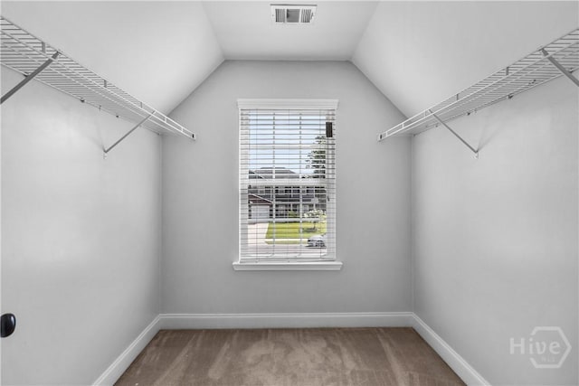 85 Wicklow Dr, Richmond Hill, GA 31324 - spacious closet with carpet floors and lofted ceiling