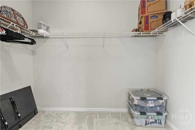 130 Whirlwind Way, Guyton, GA 31312 - spacious closet with carpet floors