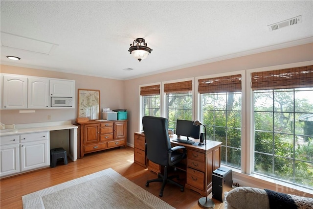 245 Youmans Rd, Midway, GA 31320 - office with light wood finished floors, crown molding, and a textured ceiling