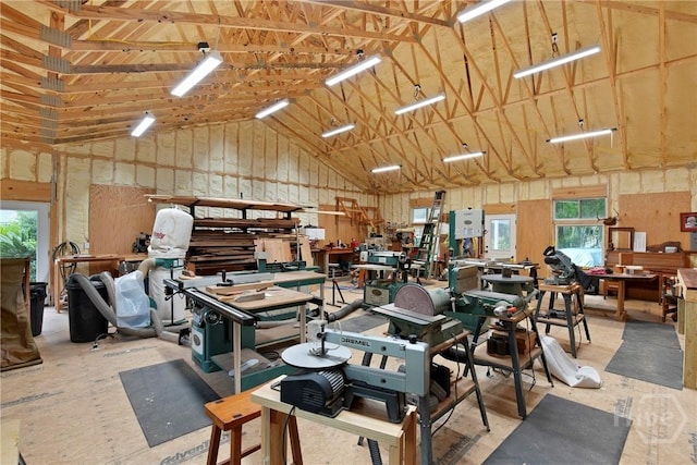 245 Youmans Rd, Midway, GA 31320 - miscellaneous room with plenty of natural light, a workshop area, and high vaulted ceiling