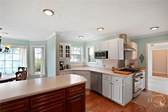 245 Youmans Rd, Midway, GA 31320 - kitchen featuring stainless steel appliances, wall chimney exhaust hood, a textured ceiling, crown molding, and light countertops