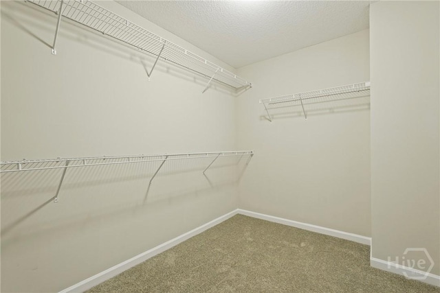 70 Flemington Oaks Dr, Hinesville, GA 31313 - photo 34
