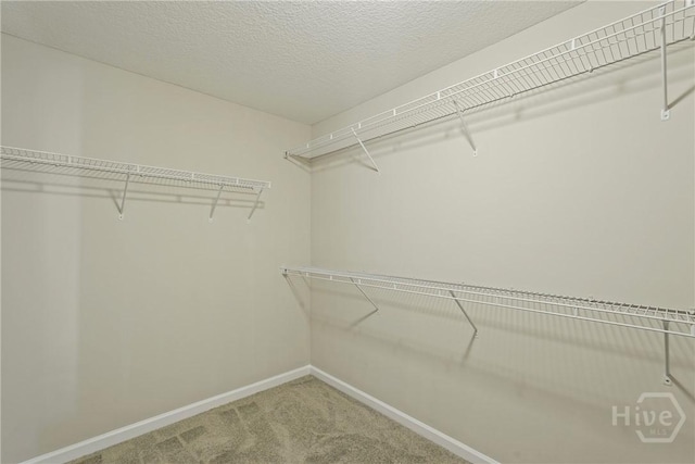 70 Flemington Oaks Dr, Hinesville, GA 31313 - photo 35