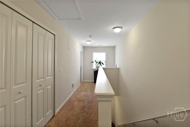 31 Red Robin Ct, Port Wentworth, GA 31407 - photo 13