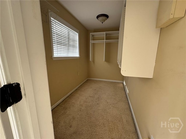 8 Fairgreen St, Savannah, GA 31407 - spacious closet with carpet flooring