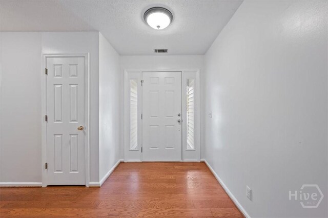 375 Hermitage Dr, Richmond Hill, GA 31324 - entrance foyer featuring wood finished floors and baseboards