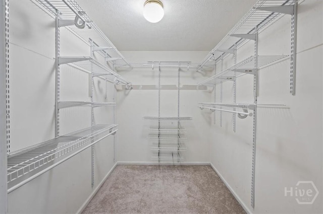 375 Hermitage Dr, Richmond Hill, GA 31324 - walk in closet featuring carpet flooring