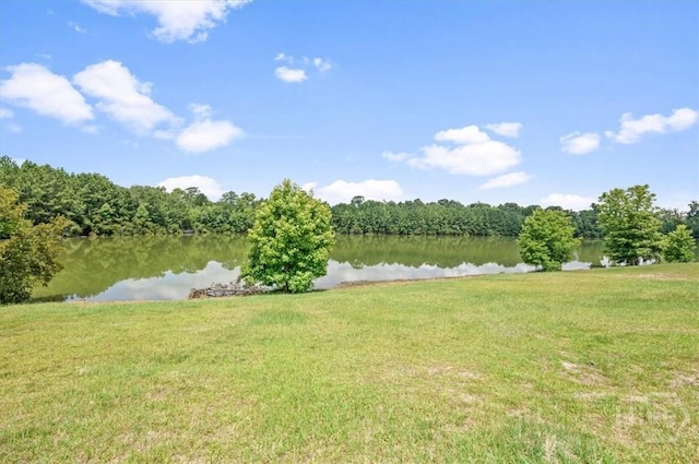 112 Calm Oaks Cir, Savannah, GA 31419 - photo 42