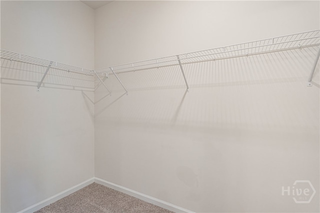 318 Serengeti Blvd, Pooler, GA 31322 - photo 22