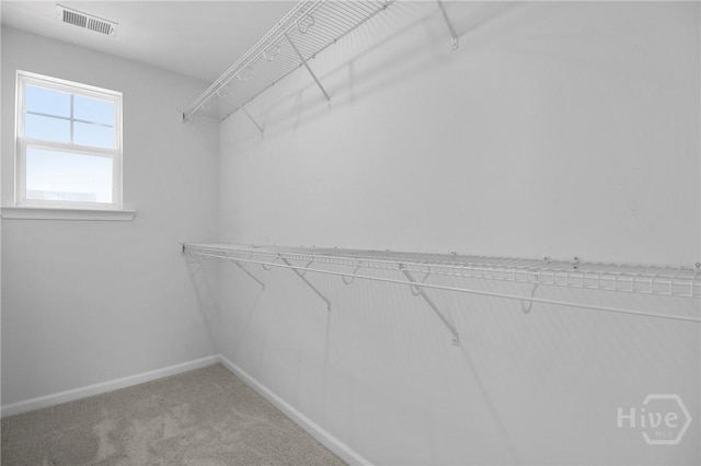 106 Brookline Dr, Savannah, GA 31407 - spacious closet with light colored carpet