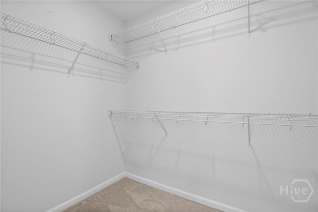 106 Brookline Dr, Savannah, GA 31407 - walk in closet with carpet flooring