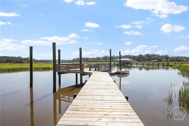 271 Davis Rd, Richmond Hill, GA 31324 - dock area featuring a water view