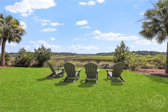 271 Davis Rd, Richmond Hill, GA 31324 - view of green lawn