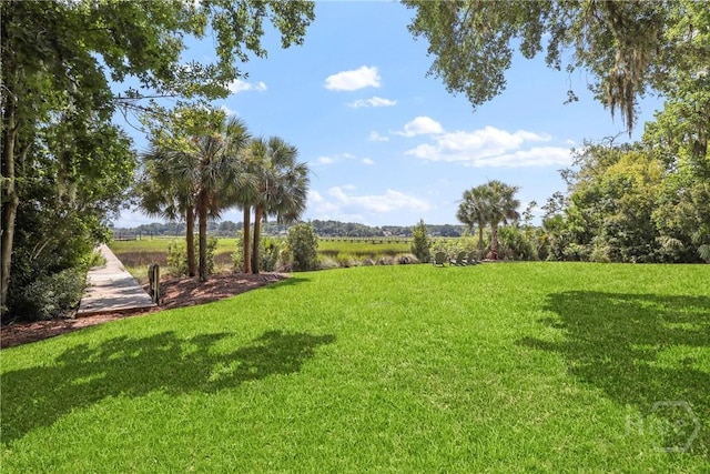 271 Davis Rd, Richmond Hill, GA 31324 - view of grassy yard