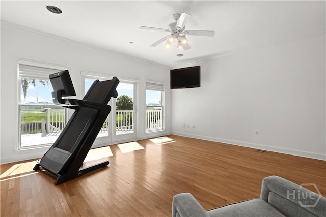 271 Davis Rd, Richmond Hill, GA 31324 - workout room with healthy amount of natural light, wood finished floors, a ceiling fan, and ornamental molding
