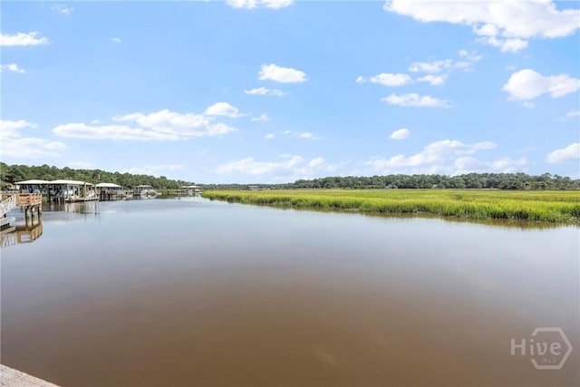 271 Davis Rd, Richmond Hill, GA 31324 - water view