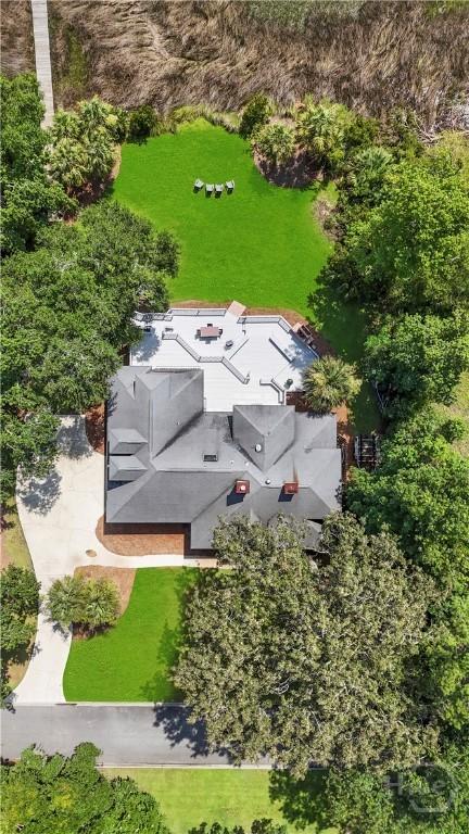 271 Davis Rd, Richmond Hill, GA 31324 - view from above of property