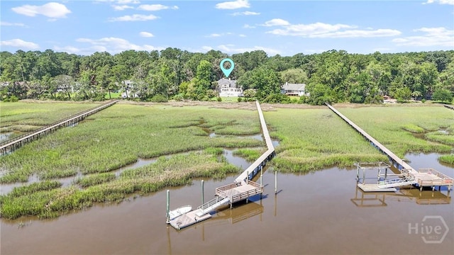 271 Davis Rd, Richmond Hill, GA 31324 - aerial view of a nearby body of water