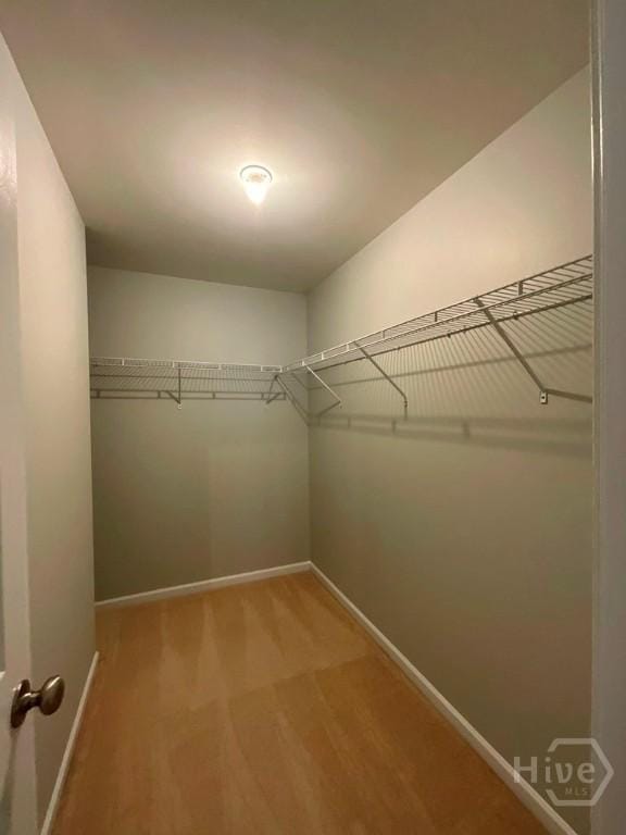 230 Opus Ct, Pooler, GA 31322 - walk in closet featuring carpet