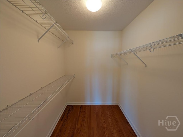 10 Evergreen Oak Dr, Richmond Hill, GA 31324 - spacious closet with wood finished floors