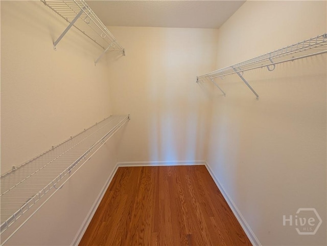10 Evergreen Oak Dr, Richmond Hill, GA 31324 - spacious closet featuring wood finished floors