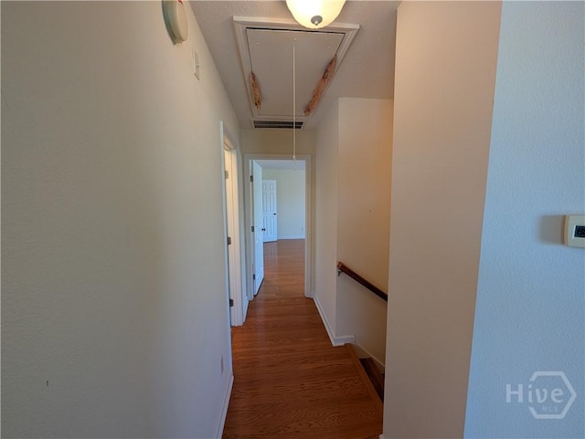 10 Evergreen Oak Dr, Richmond Hill, GA 31324 - corridor with attic access and wood finished floors