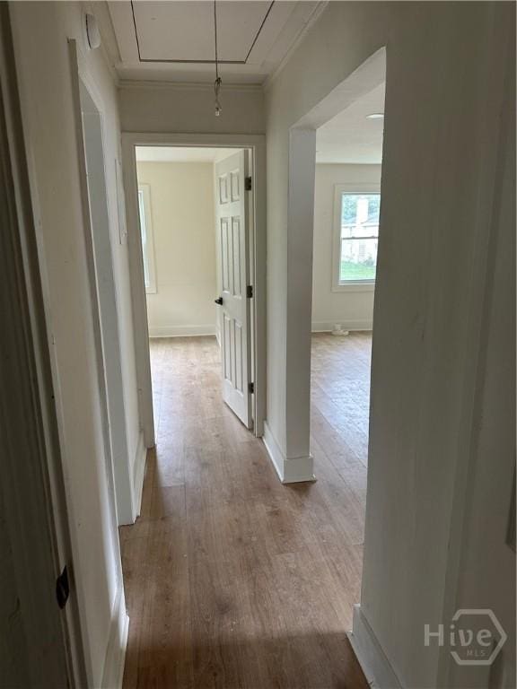 636 W 48th St, Savannah, GA 31405 - photo 15