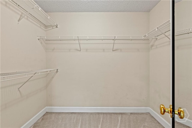 41 Patriot Dr, Richmond Hill, GA 31324 - spacious closet with light colored carpet