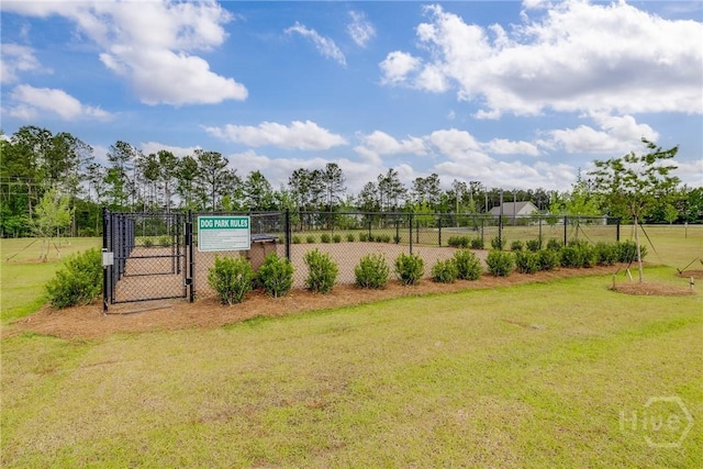 260 Harmony Blvd, Pooler, GA 31322 - photo 41