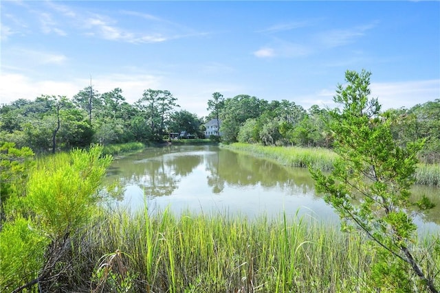 6 Dockside Dr, Savannah, GA 31410 - photo 39