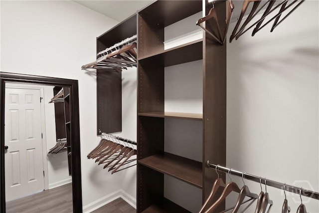 115 Yellow Jasmine Ct, Pooler, GA 31322 - walk in closet featuring wood finished floors