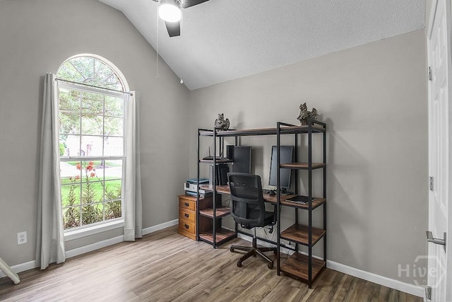 250 Laurel Hill Cir, Richmond Hill, GA 31324 - office space with ceiling fan, wood finished floors, and lofted ceiling