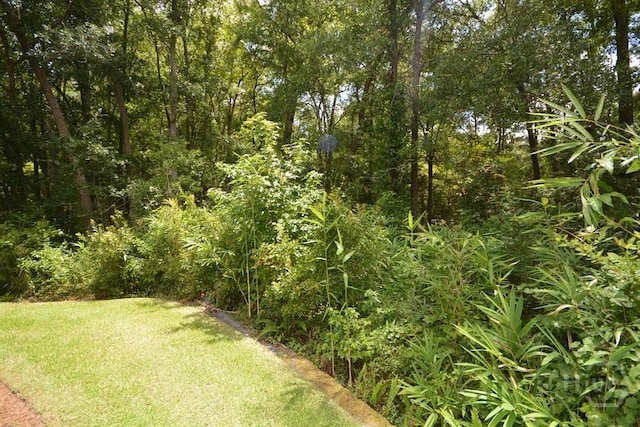 2 Jasmine Xing, Savannah, GA 31405 - view of green lawn