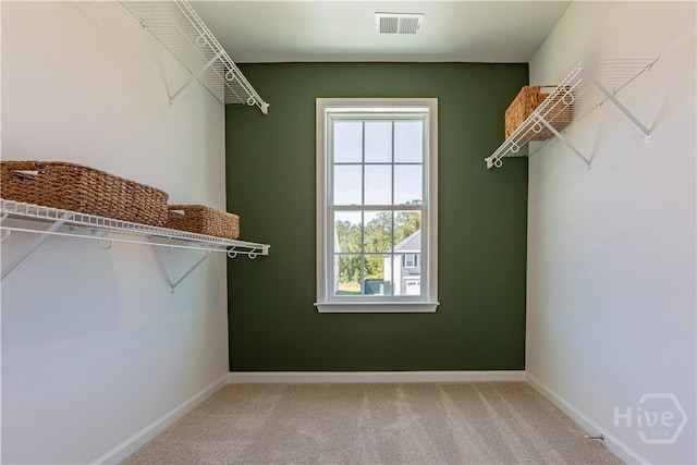 33 Spring Hill Dr, Richmond Hill, GA 31324 - spacious closet featuring carpet floors